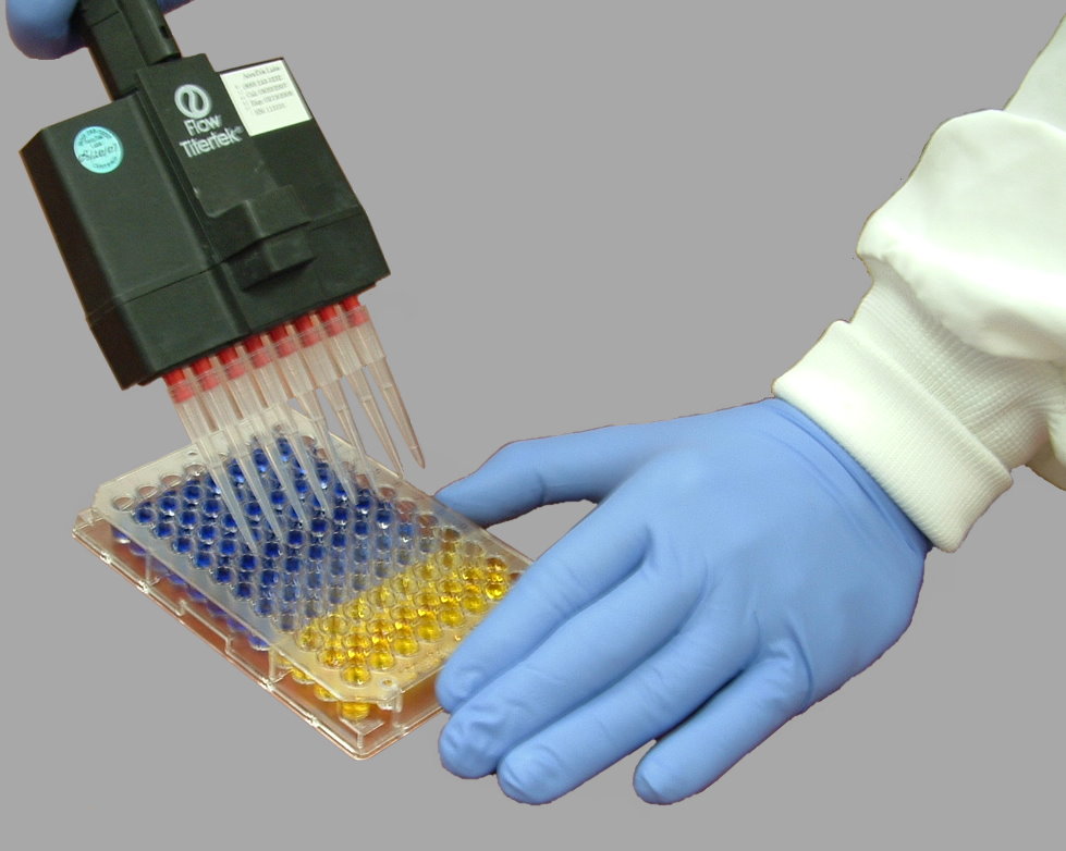 ELISA Plate