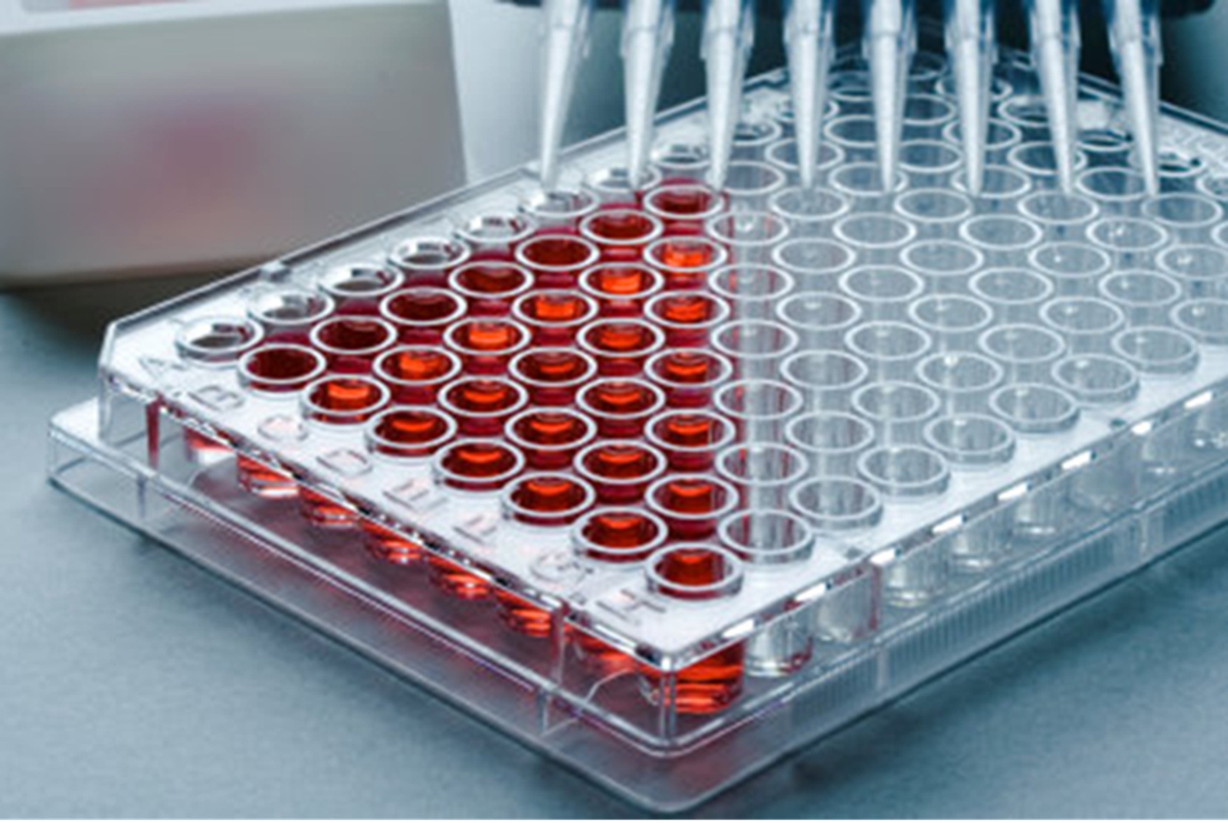 can't find the picture